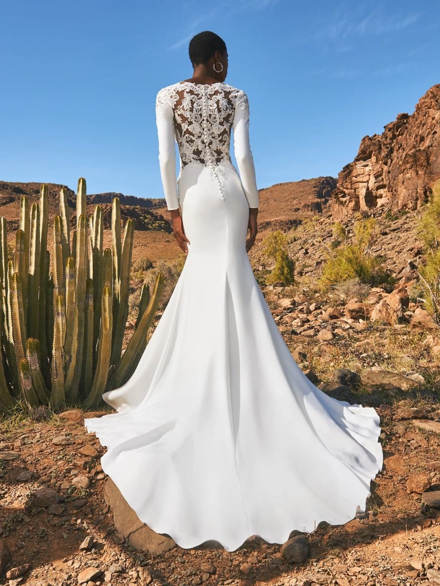 Pronovias Dazu Brautkleid-2 Pronovias Dazu