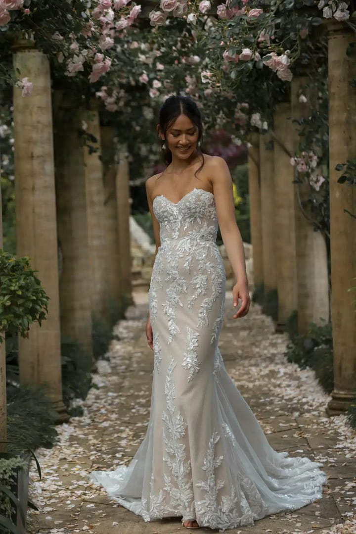 Madi Lane Provence